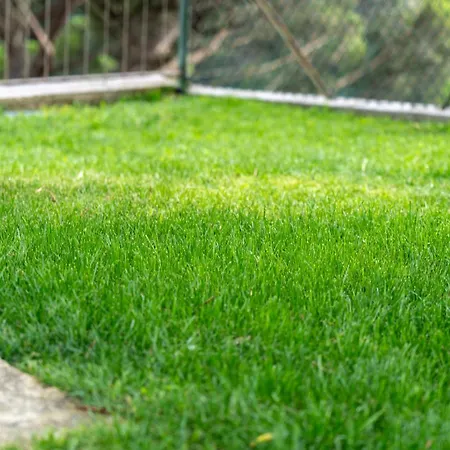 Casa Douro River Frende